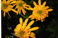 DSCN2696.JPG