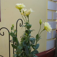 IMG_6878 11.jpg