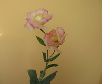 Ближе