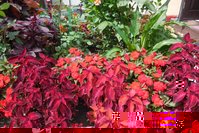 DSCN3363.JPG