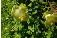 DSCN3409.JPG