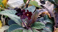 20161010_145501.jpg