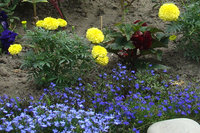 DSC03333.JPG
