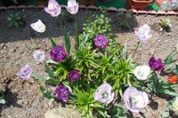 DSCN3808.JPG