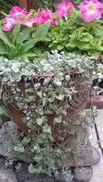 20170629_152140.jpg
