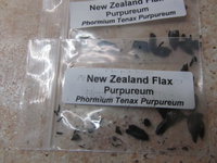 seeds_700.jpg