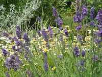 DSCN4703.JPG
