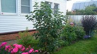 DSC_1183.JPG