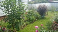DSC_1102.JPG