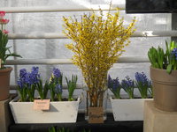 DSCN0175.JPG