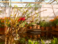 DSCN0202.JPG