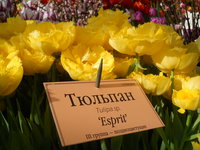 DSCN0237.JPG