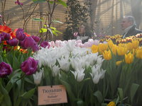 DSCN0224.JPG