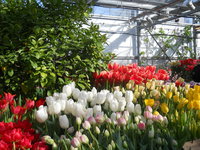 DSCN0182.JPG