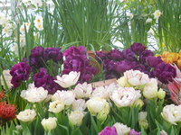 DSCN0191.JPG