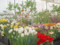 DSCN0214.JPG