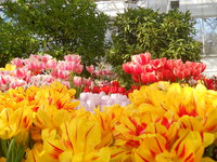 DSCN0233.JPG