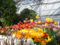 DSCN0238.JPG