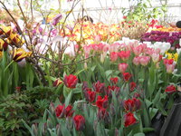 DSCN0217.JPG