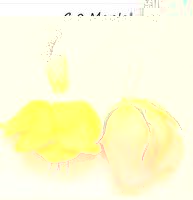 mCwiZL4mDEw.jpg