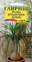 Нолина.jpg