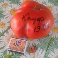 image.jpeg