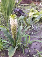 20180724_204655.jpg