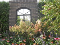 DSCN0390.JPG
