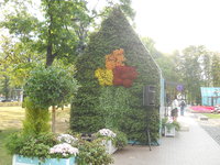 DSCN0405.JPG