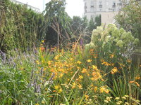 DSCN0389.JPG