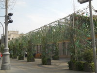 DSCN0410.JPG