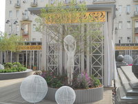 DSCN0414.JPG