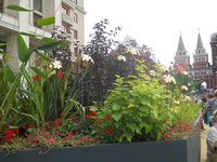 DSCN0423.JPG