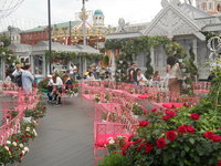 DSCN0447.JPG