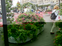 DSCN0439.JPG
