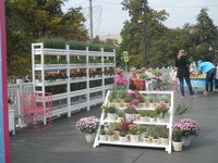 DSCN0429.JPG