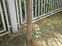 DSCN0452.JPG