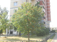 DSCN0454.JPG