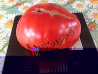 image.jpeg