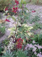 20180909_160234.jpg