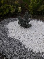 20180906_184449.jpg