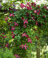 81379-03-BAKIE_20120619112938.jpg