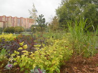 DSCN0475.JPG