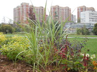 DSCN0470.JPG