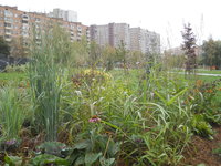 DSCN0469.JPG