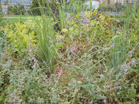 DSCN0460.JPG