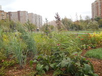 DSCN0462.JPG