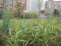 DSCN0468.JPG