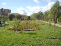 DSCN0490.JPG