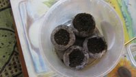 IMG_0613.JPG